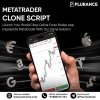 Start Your Forex Brokerage Instantly – MetaTrader Clone Script A